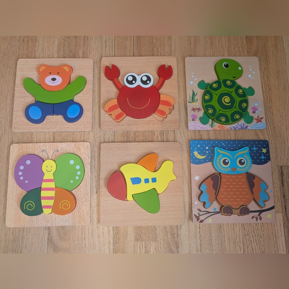 6 Pack Wooden Puzzle Set